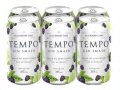 Tempo Gin Smash Blackberry Lime 6 Cans