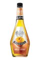 Mcguinness Apricot Brandy 750ml